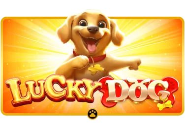 VCT live casino interface on mobile showing a blackjack table with live dealer